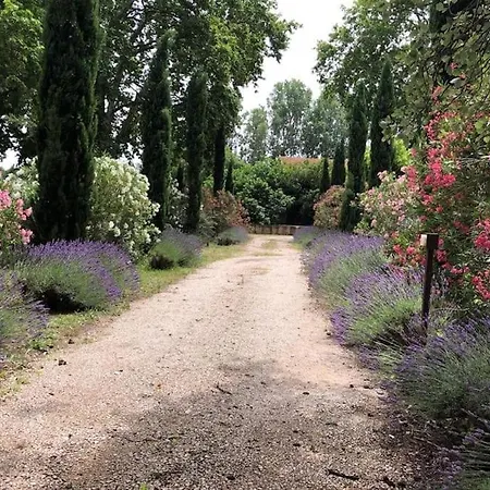 Spacieux Mas Provencale *
